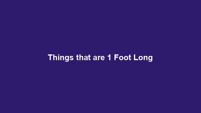 Things that are 1 Foot Long - Dimension Discovery