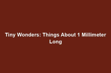 Tiny Wonders: Things About 1 Millimeter Long