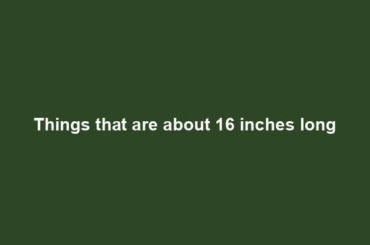 Things that are about 16 inches long