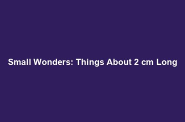 Small Wonders: Things About 2 cm Long