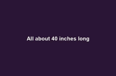 All about 40 inches long