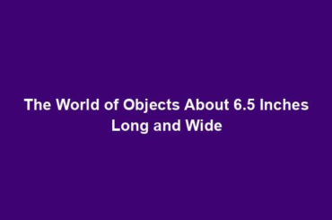 The World of Objects About 6.5 Inches Long and Wide