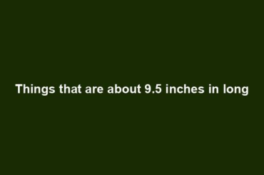 Things that are about 9.5 inches in long